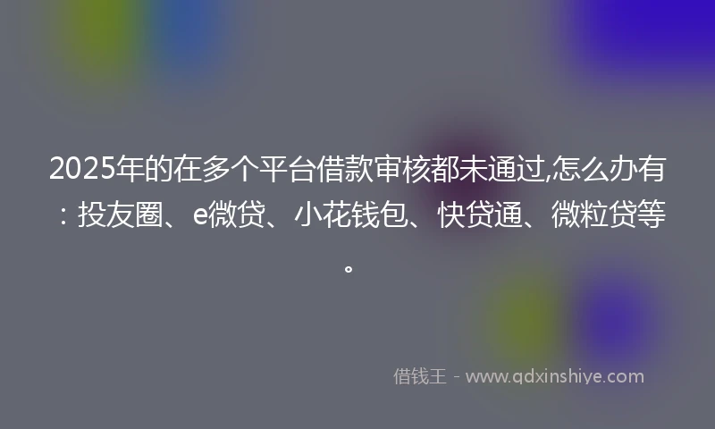 2025年的在多个平台借款审核都未通过,怎么办有：投友圈、e微贷、小花钱包、快贷通、微粒贷等。
