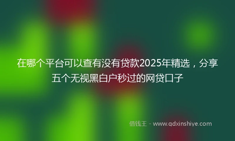 在哪个平台可以查有没有贷款2025年精选，分享五个无视黑白户秒过的网贷口子