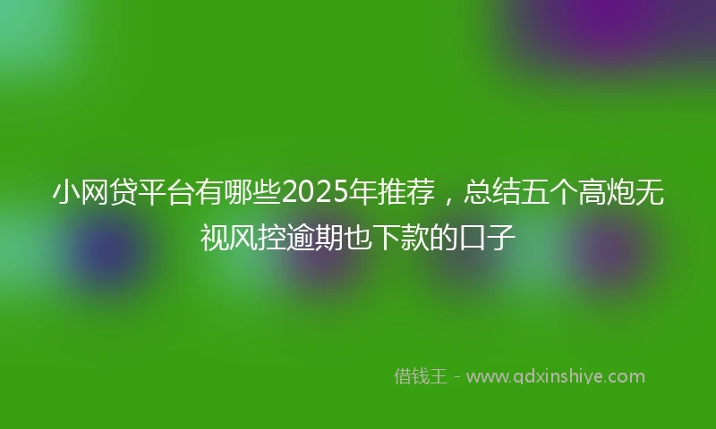 小网贷平台有哪些2025年推荐，总结五个高炮无视风控逾期也下款的口子