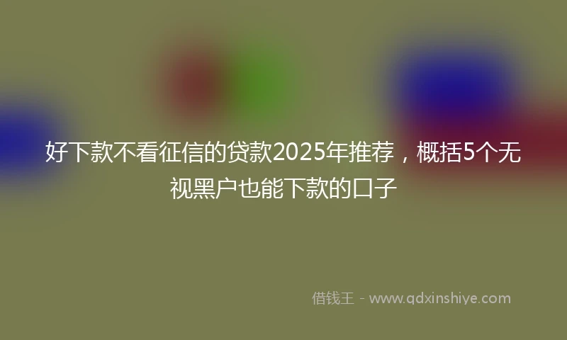 好下款不看征信的贷款2025年推荐，概括5个无视黑户也能下款的口子