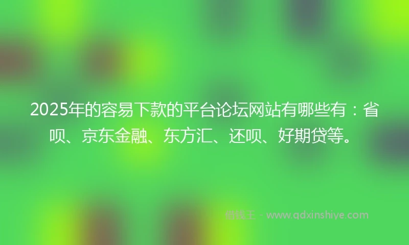2025年的容易下款的平台论坛网站有哪些有：省呗、京东金融、东方汇、还呗、好期贷等。