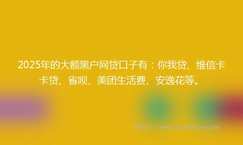 2025年的大额黑户网贷口子有：你我贷、维信卡卡贷、省呗、美团生活费、安逸花等。