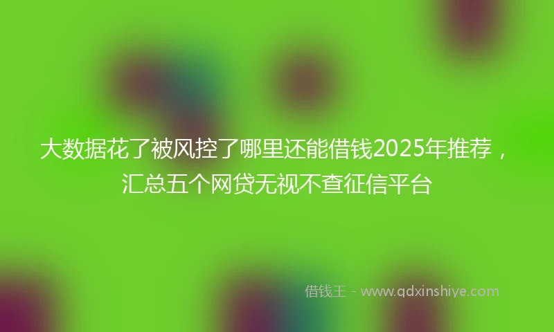 大数据花了被风控了哪里还能借钱2025年推荐，汇总五个网贷无视不查征信平台