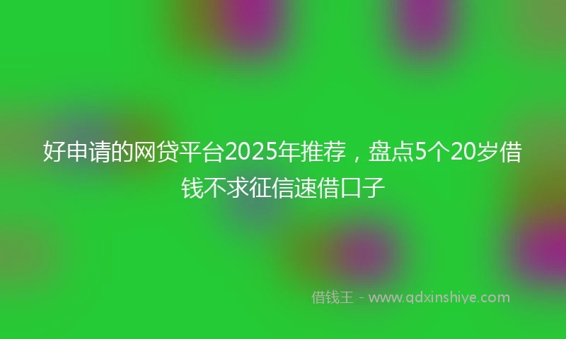 好申请的网贷平台2025年推荐，盘点5个20岁借钱不求征信速借口子