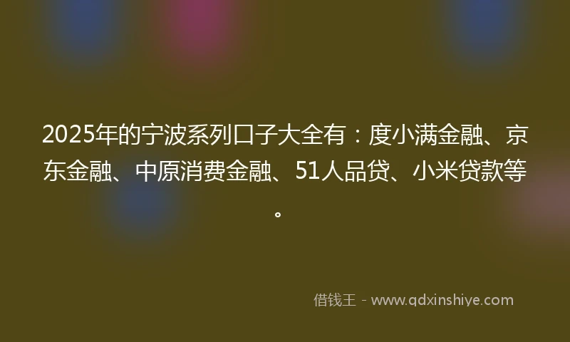 2025年的宁波系列口子大全有：度小满金融、京东金融、中原消费金融、51人品贷、小米贷款等。