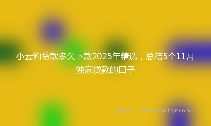 小云豹贷款多久下款2025年精选，总结5个11月独家贷款的口子