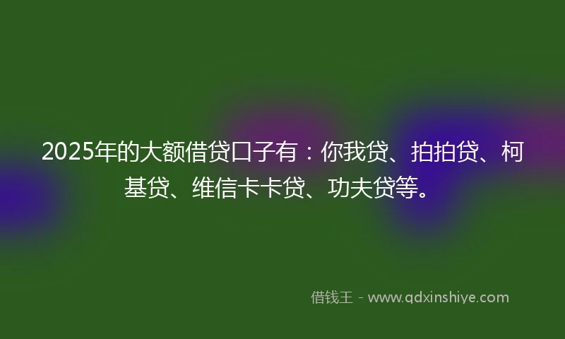 2025年的大额借贷口子有：你我贷、拍拍贷、柯基贷、维信卡卡贷、功夫贷等。