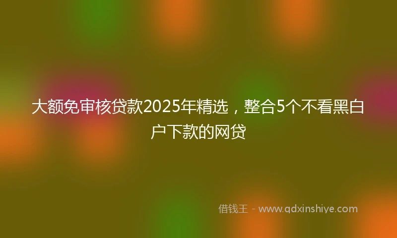 大额免审核贷款2025年精选,整合5个不看黑白户下款的网贷