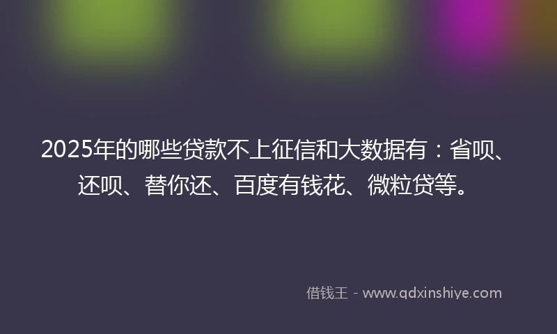 2025年的哪些贷款不上征信和大数据有：省呗、还呗、替你还、百度有钱花、微粒贷等。