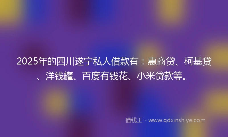 2025年的四川遂宁私人借款有：惠商贷、柯基贷、洋钱罐、百度有钱花、小米贷款等。