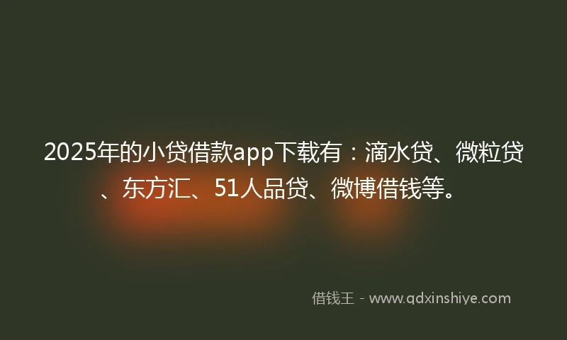 2025年的小贷借款app下载有：滴水贷、微粒贷、东方汇、51人品贷、微博借钱等。