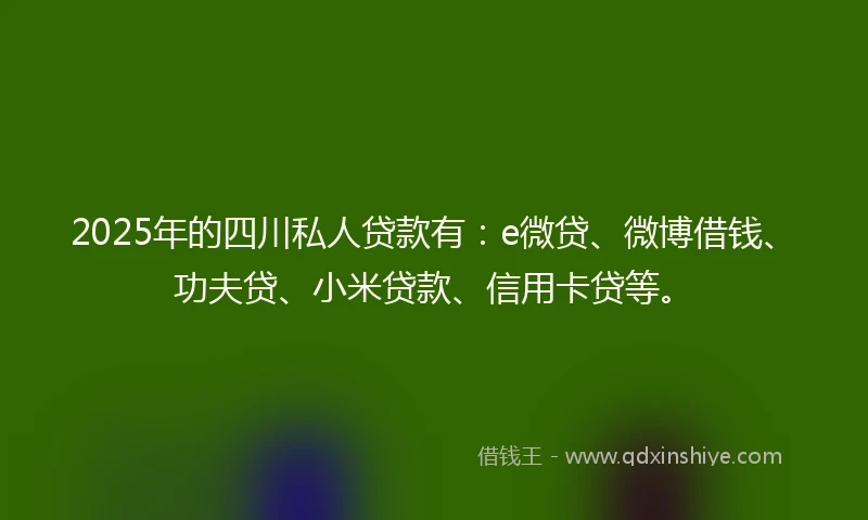 2025年的四川私人贷款有：e微贷、微博借钱、功夫贷、小米贷款、信用卡贷等。