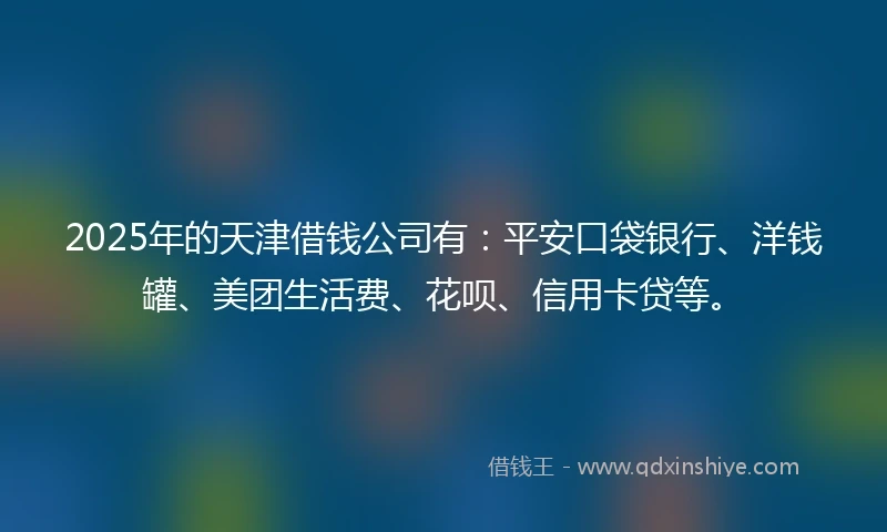 2025年的天津借钱公司有：平安口袋银行、洋钱罐、美团生活费、花呗、信用卡贷等。