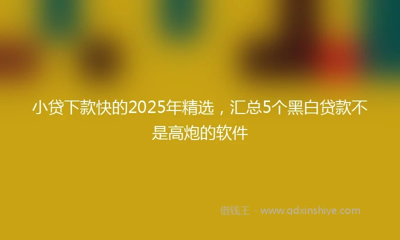 小贷下款快的2025年精选，汇总5个黑白贷款不是高炮的软件