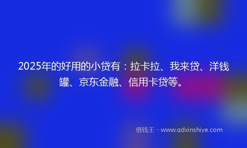 2025年的好用的小贷有：拉卡拉、我来贷、洋钱罐、京东金融、信用卡贷等。