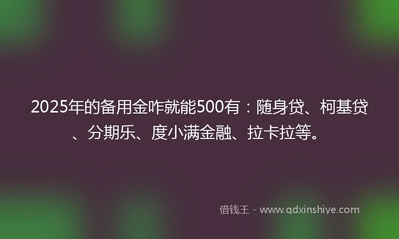 2025年的备用金咋就能500有：随身贷、柯基贷、分期乐、度小满金融、拉卡拉等。