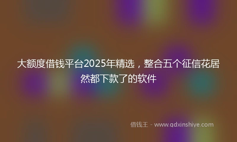 大额度借钱平台2025年精选，整合五个征信花居然都下款了的软件