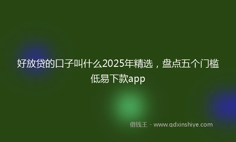 好放贷的口子叫什么2025年精选，盘点五个门槛低易下款app