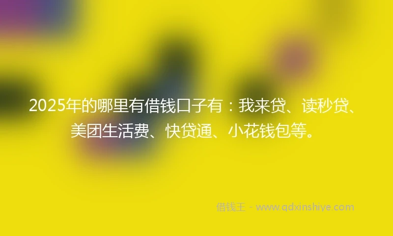 2025年的哪里有借钱口子有：我来贷、读秒贷、美团生活费、快贷通、小花钱包等。