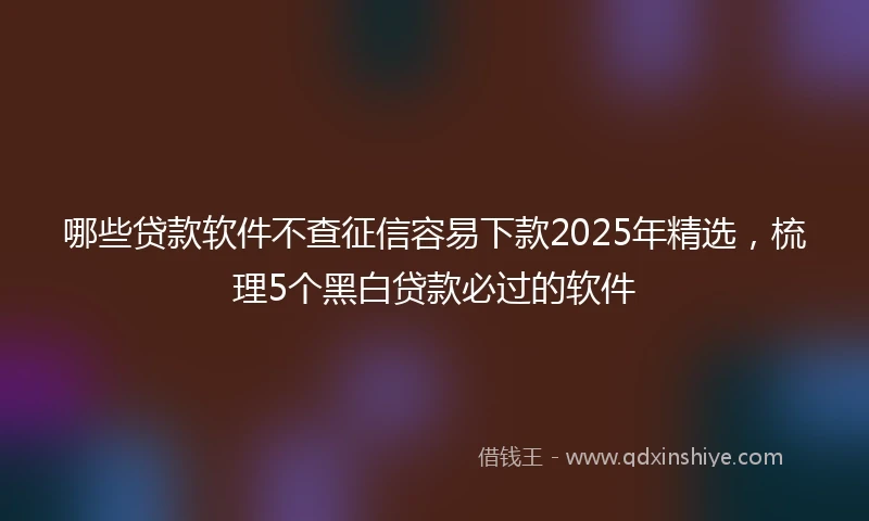 哪些贷款软件不查征信容易下款2025年精选，梳理5个黑白贷款必过的软件