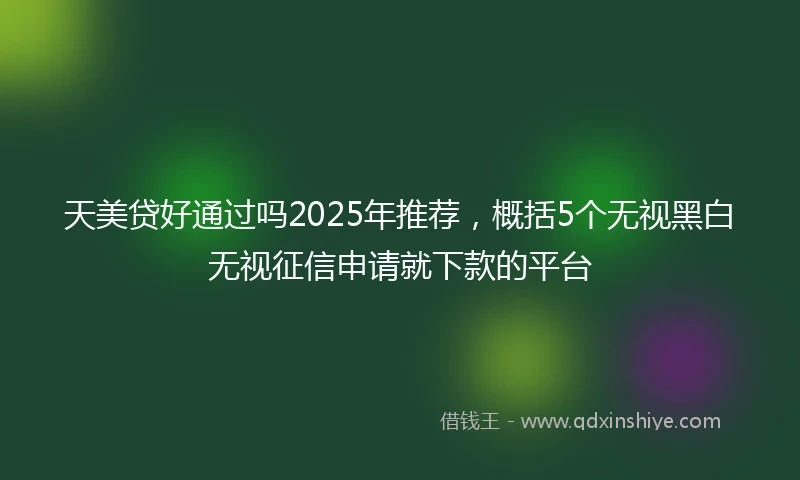 天美贷好通过吗2025年推荐，概括5个无视黑白无视征信申请就下款的平台