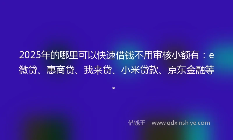 2025年的哪里可以快速借钱不用审核小额有：e微贷、惠商贷、我来贷、小米贷款、京东金融等。