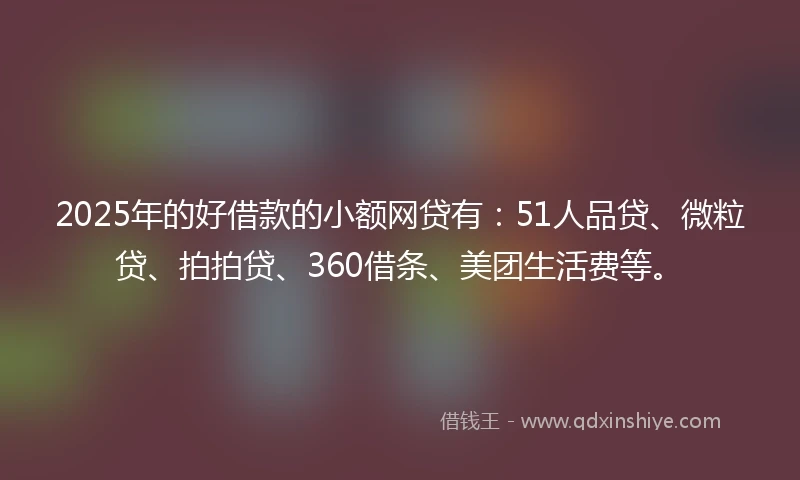 2025年的好借款的小额网贷有：51人品贷、微粒贷、拍拍贷、360借条、美团生活费等。