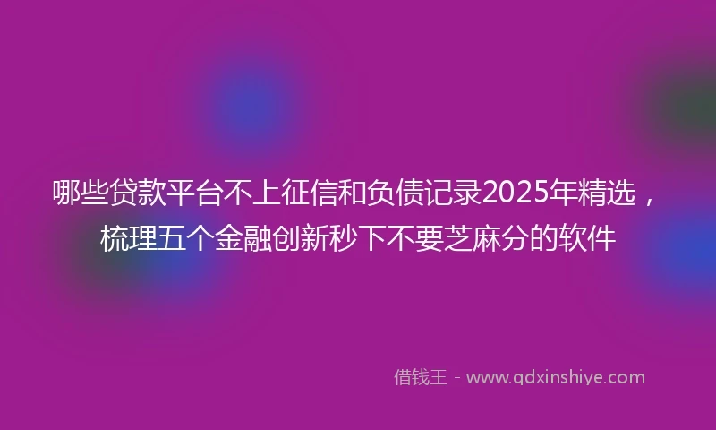 哪些贷款平台不上征信和负债记录2025年精选，梳理五个金融创新秒下不要芝麻分的软件