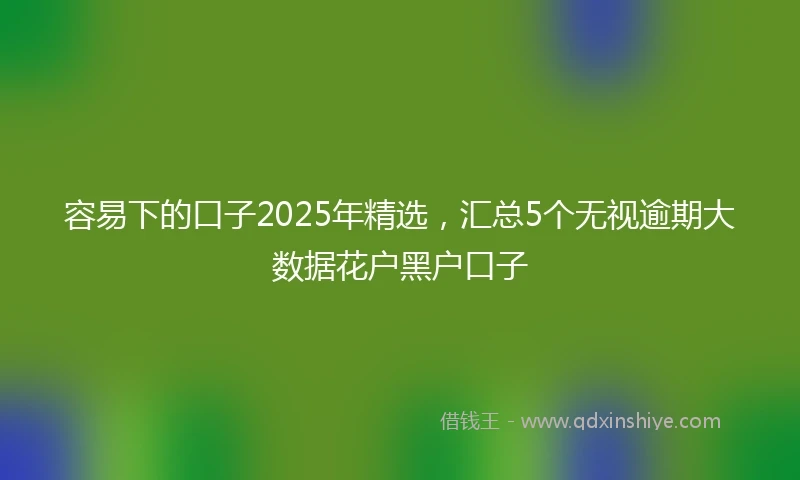 容易下的口子2025年精选，汇总5个无视逾期大数据花户黑户口子