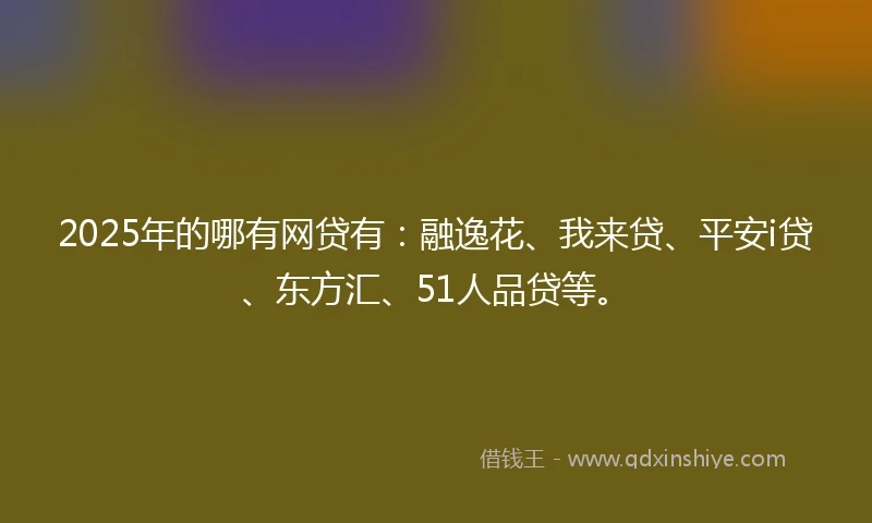 2025年的哪有网贷有：融逸花、我来贷、平安i贷、东方汇、51人品贷等。
