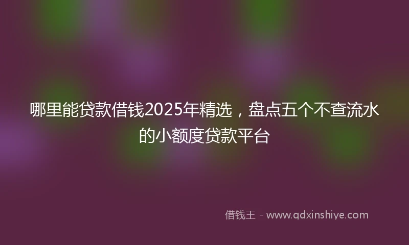 哪里能贷款借钱2025年精选，盘点五个不查流水的小额度贷款平台