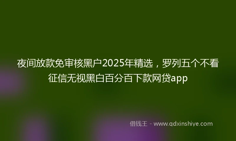 夜间放款免审核黑户2025年精选，罗列五个不看征信无视黑白百分百下款网贷app