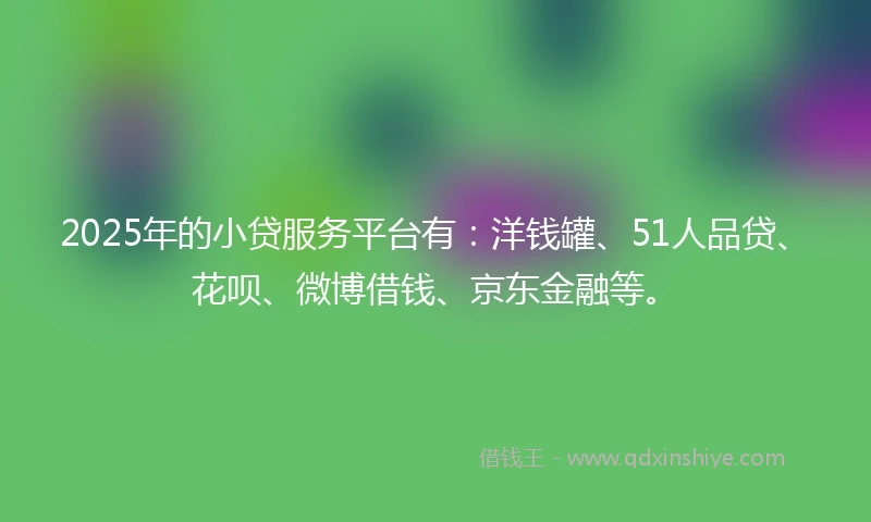 2025年的小贷服务平台有：洋钱罐、51人品贷、花呗、微博借钱、京东金融等。