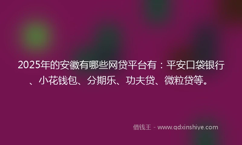 2025年的安徽有哪些网贷平台有：平安口袋银行、小花钱包、分期乐、功夫贷、微粒贷等。