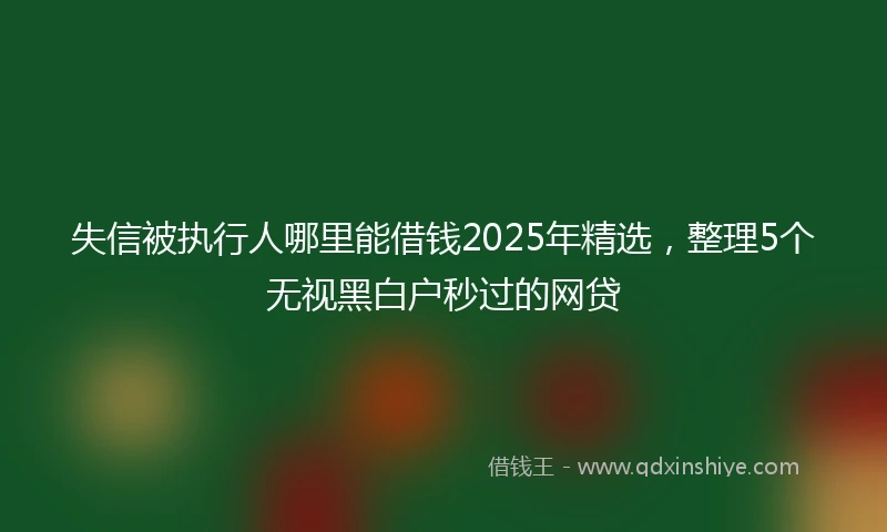 失信被执行人哪里能借钱2025年精选，整理5个无视黑白户秒过的网贷