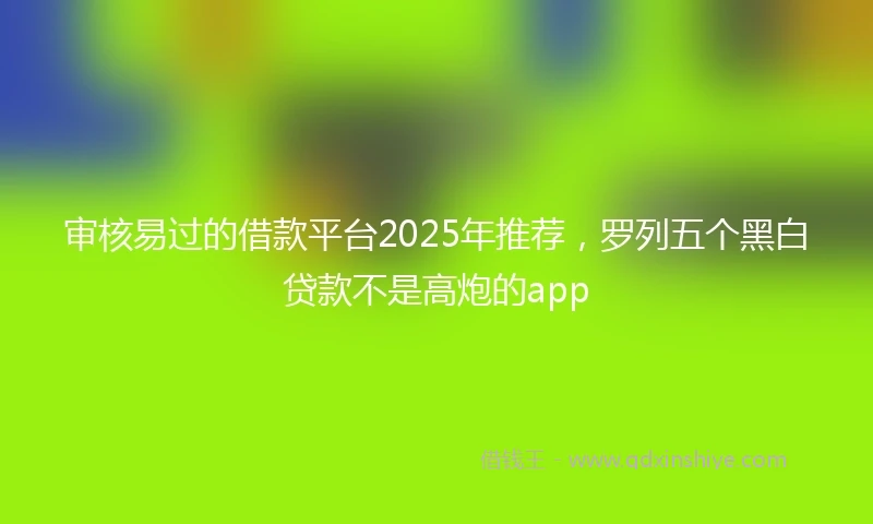 审核易过的借款平台2025年推荐，罗列五个黑白贷款不是高炮的app