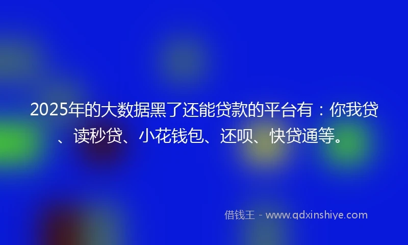 2025年的大数据黑了还能贷款的平台有：你我贷、读秒贷、小花钱包、还呗、快贷通等。