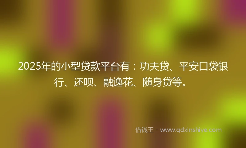2025年的小型贷款平台有：功夫贷、平安口袋银行、还呗、融逸花、随身贷等。