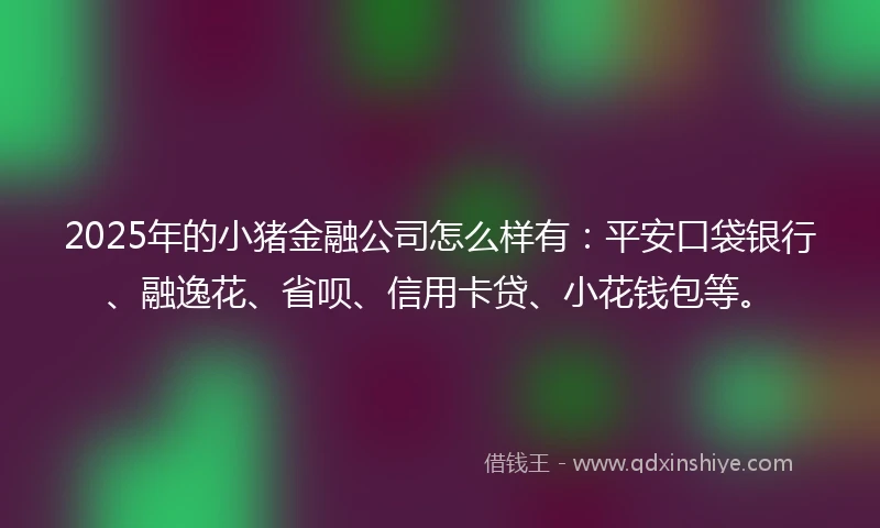 2025年的小猪金融公司怎么样有：平安口袋银行、融逸花、省呗、信用卡贷、小花钱包等。
