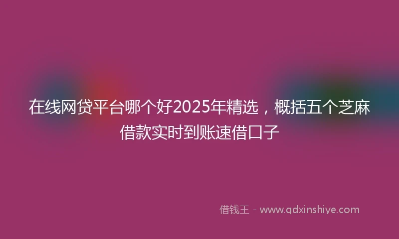 在线网贷平台哪个好2025年精选，概括五个芝麻借款实时到账速借口子