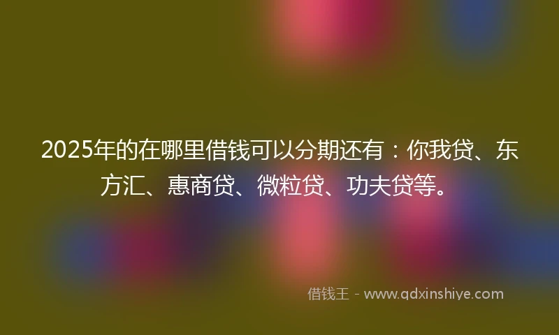 2025年的在哪里借钱可以分期还有：你我贷、东方汇、惠商贷、微粒贷、功夫贷等。
