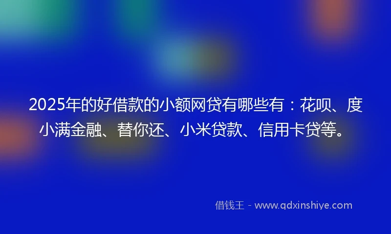 2025年的好借款的小额网贷有哪些有：花呗、度小满金融、替你还、小米贷款、信用卡贷等。