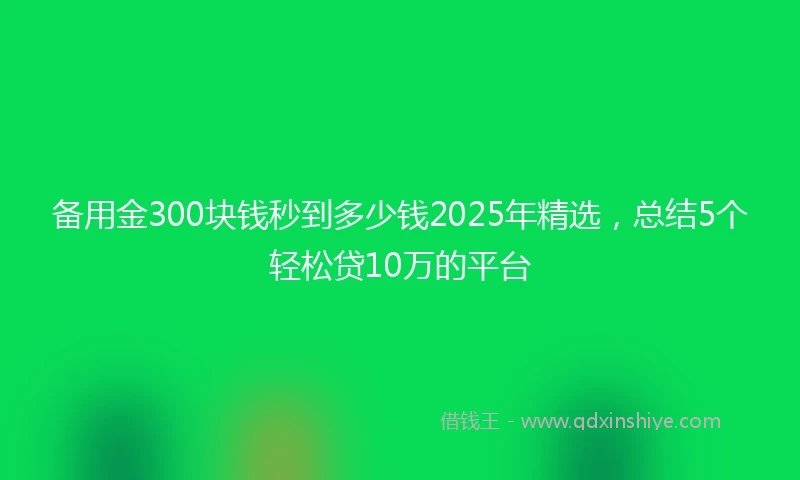 备用金300块钱秒到多少钱2025年精选，总结5个轻松贷10万的平台