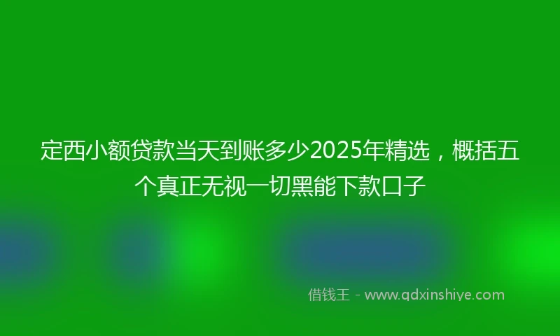定西小额贷款当天到账多少2025年精选，概括五个真正无视一切黑能下款口子
