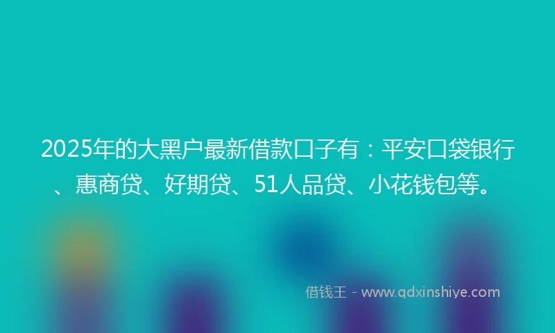 2025年的大黑户最新借款口子有：平安口袋银行、惠商贷、好期贷、51人品贷、小花钱包等。