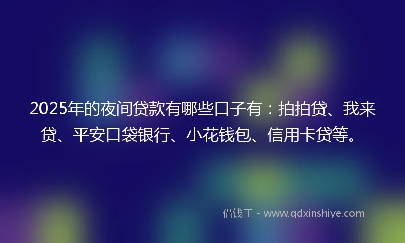 2025年的夜间贷款有哪些口子有：拍拍贷、我来贷、平安口袋银行、小花钱包、信用卡贷等。