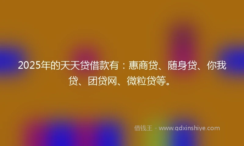 2025年的天天贷借款有：惠商贷、随身贷、你我贷、团贷网、微粒贷等。