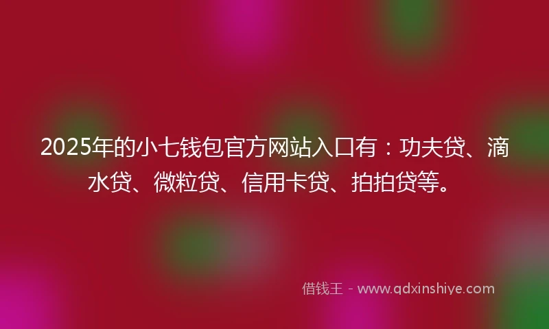 2025年的小七钱包官方网站入口有：功夫贷、滴水贷、微粒贷、信用卡贷、拍拍贷等。