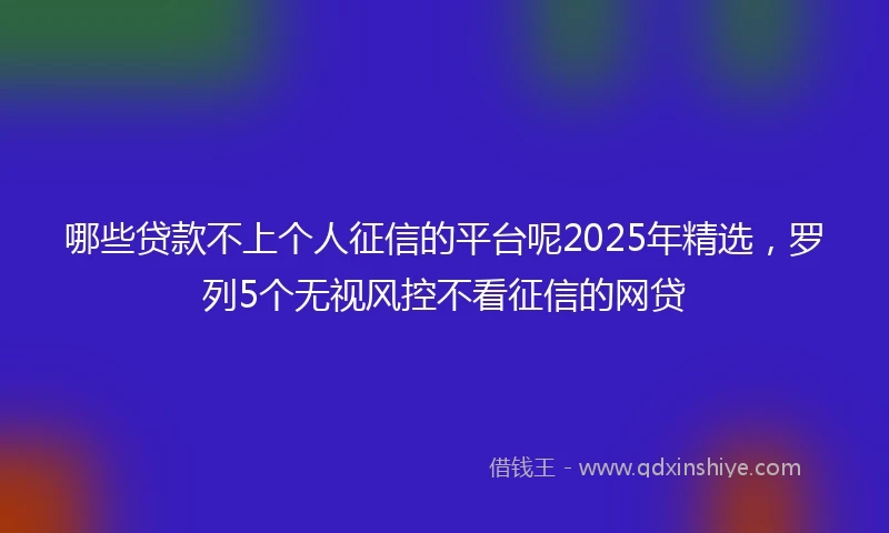 哪些贷款不上个人征信的平台呢2025年精选，罗列5个无视风控不看征信的网贷