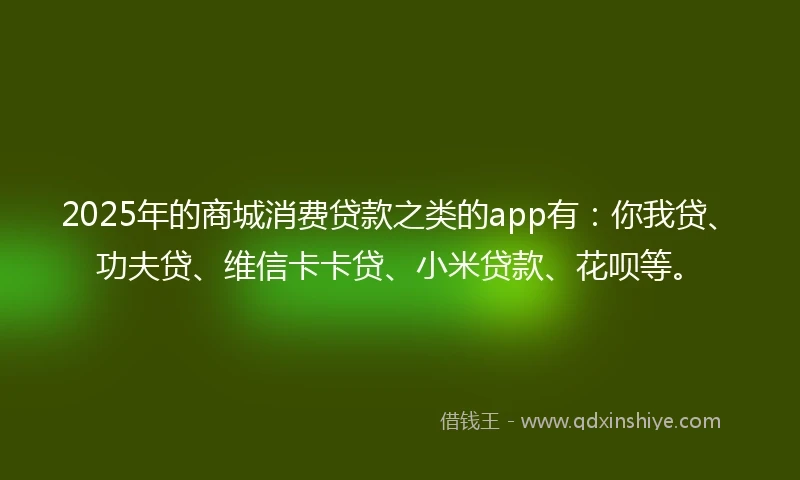 2025年的商城消费贷款之类的app有：你我贷、功夫贷、维信卡卡贷、小米贷款、花呗等。